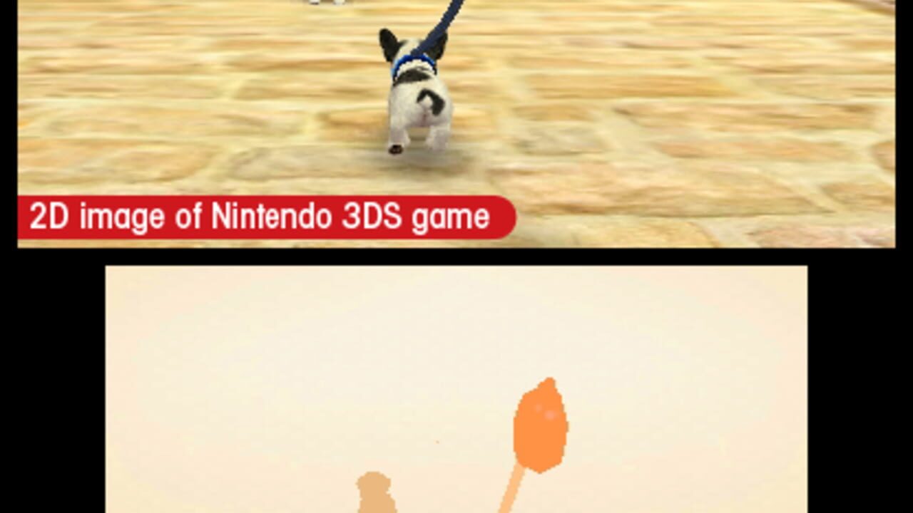 Скриншот Nintendogs + Cats: French Bulldog & New Friends