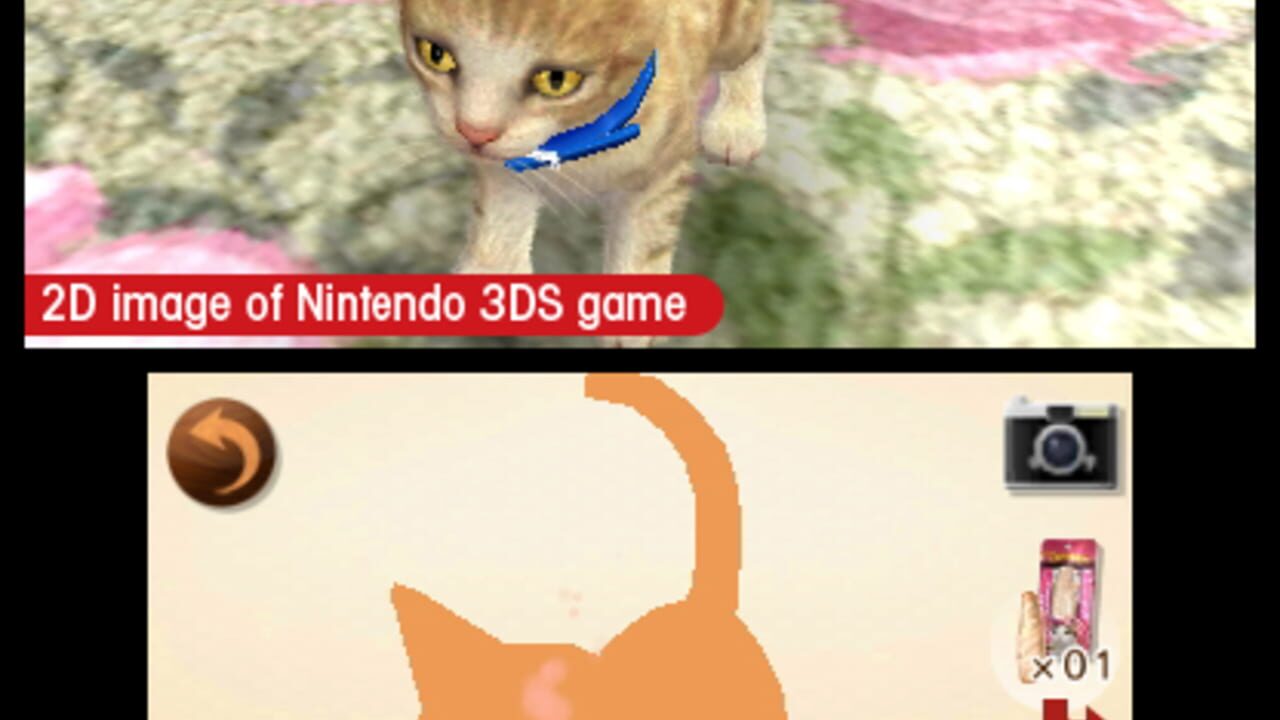 Скриншот Nintendogs + Cats: French Bulldog & New Friends