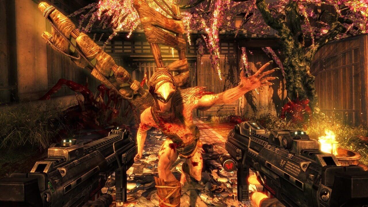 Скриншот Shadow Warrior