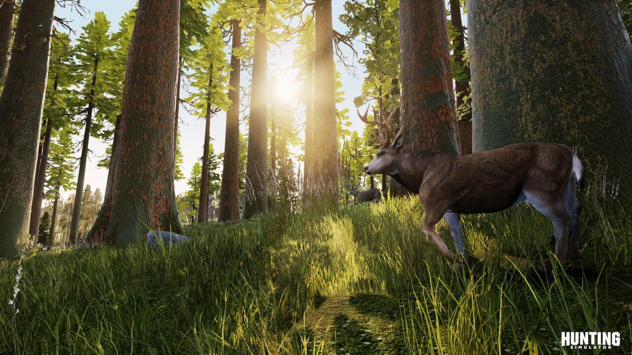 Скриншот Hunting Simulator