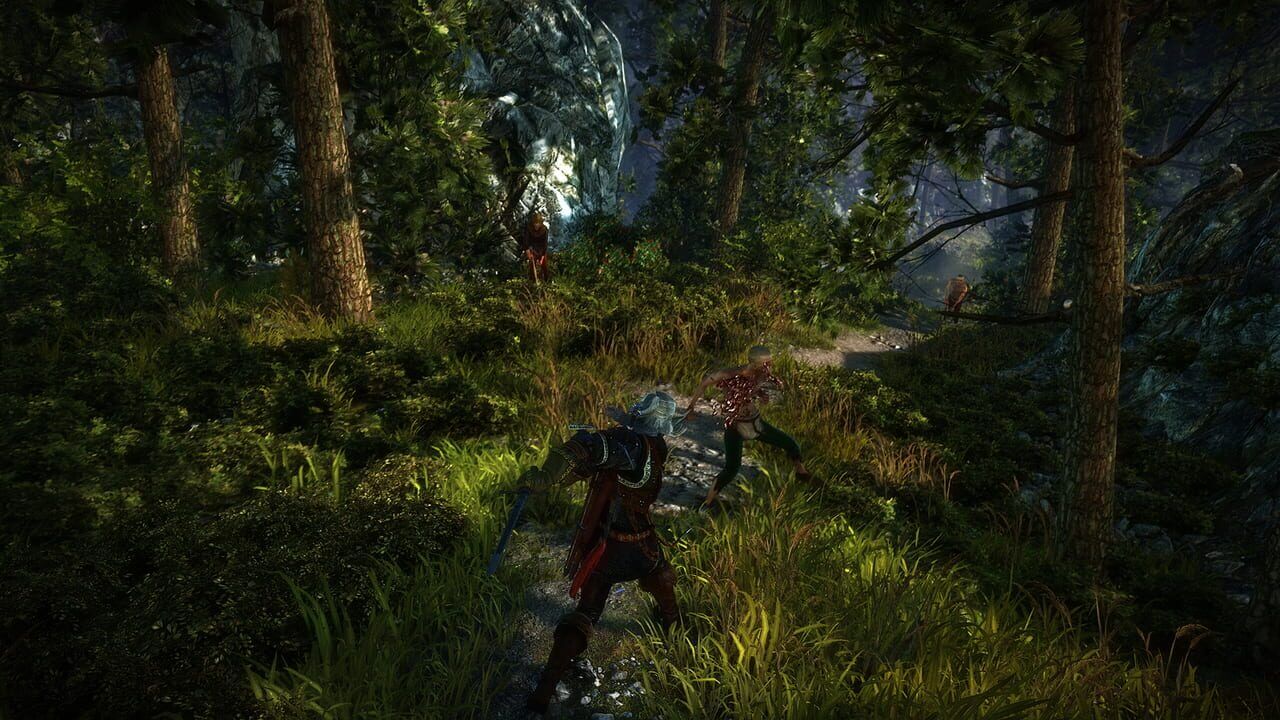 Скриншот The Witcher 2: Assassins of Kings
