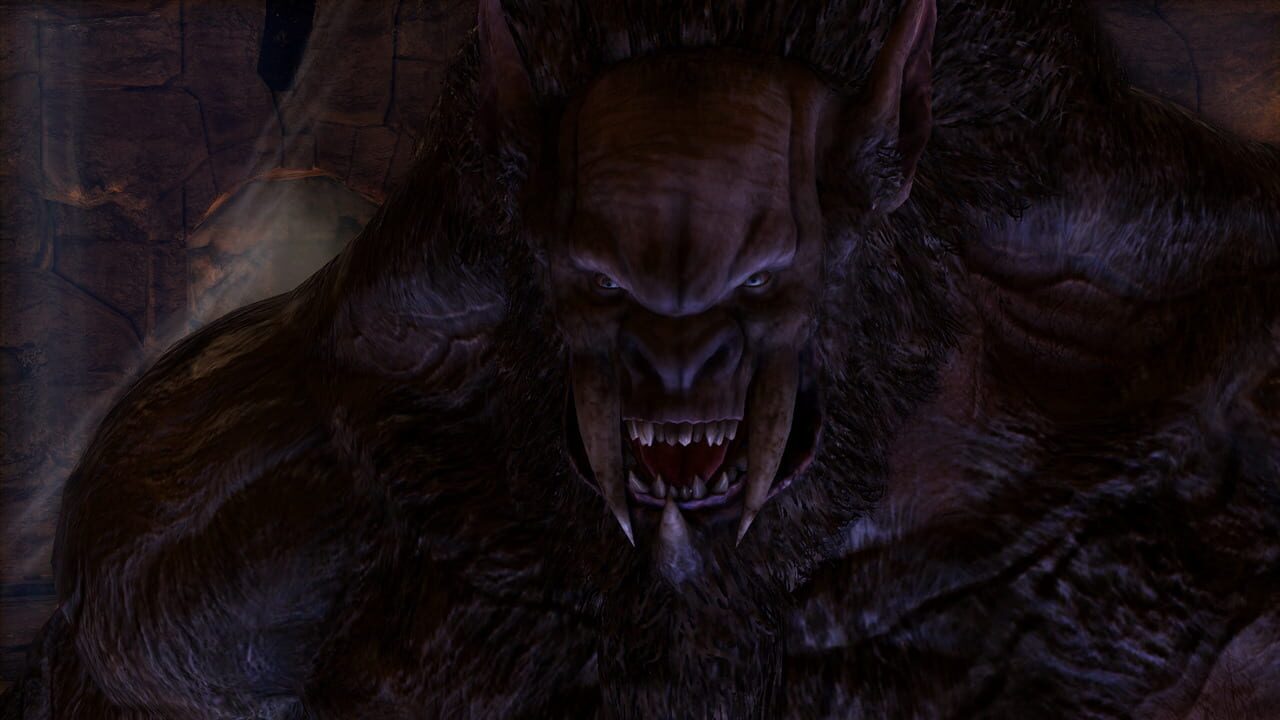 Скриншот Castlevania: Lords of Shadow